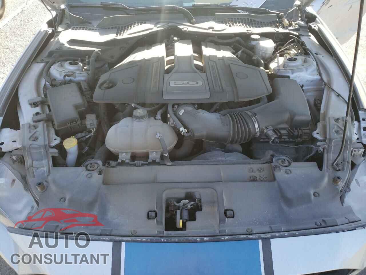 FORD MUSTANG 2019 - 1FA6P8CF4K5178235