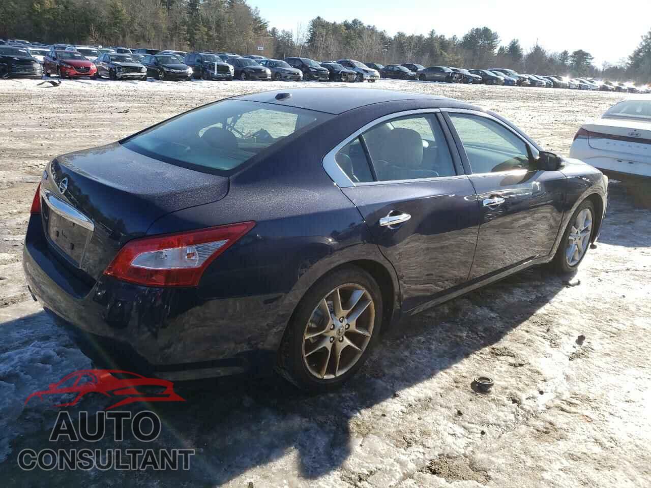 NISSAN MAXIMA 2009 - 1N4AA51E29C813690