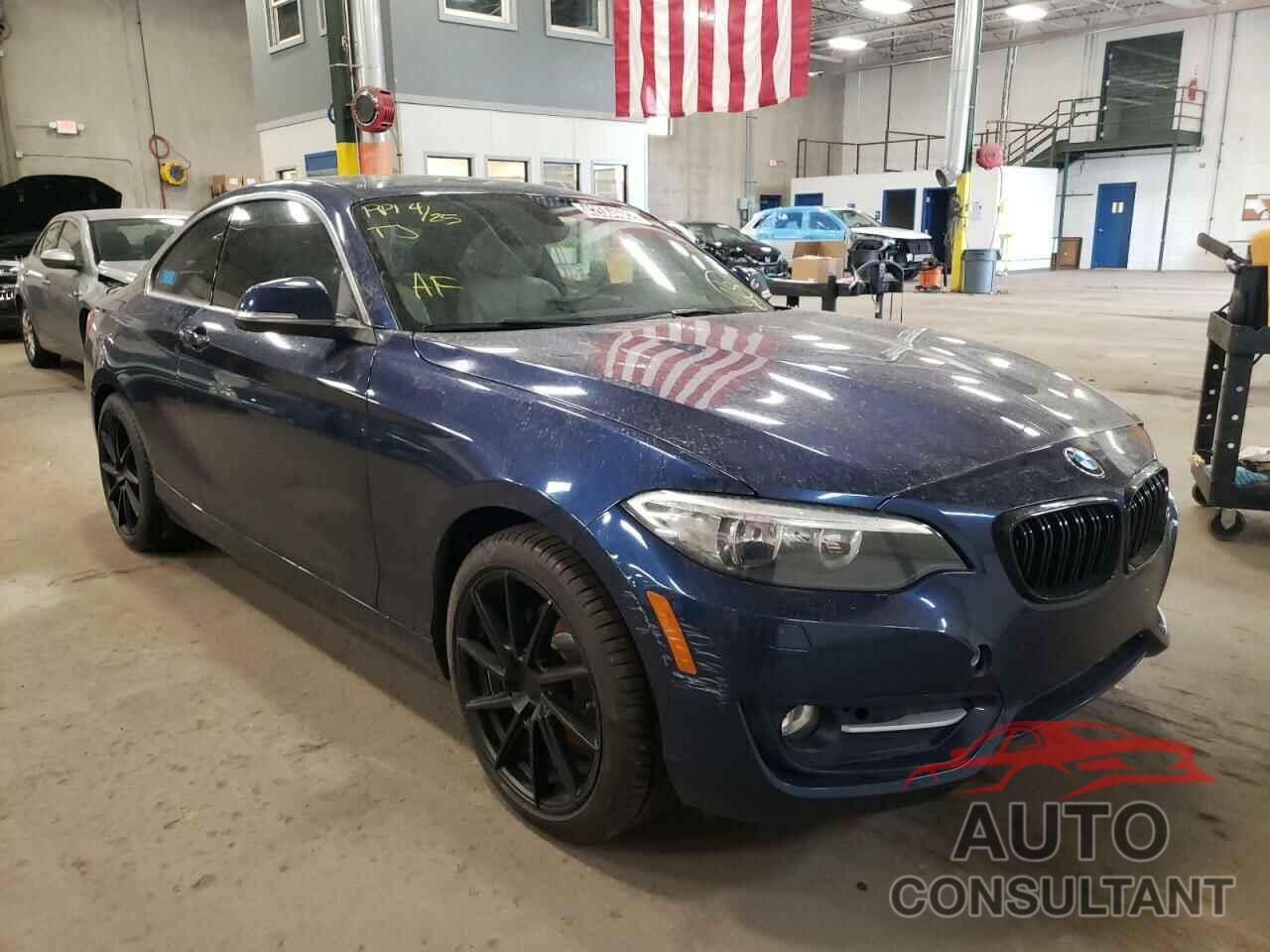 BMW 2 SERIES 2016 - WBA1G9C55GV599483