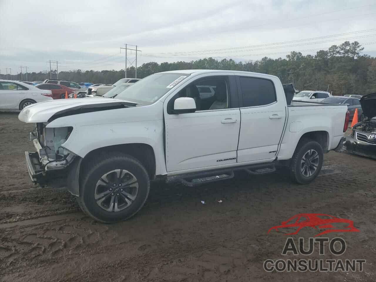 CHEVROLET COLORADO 2019 - 1GCGSBEA5K1291937