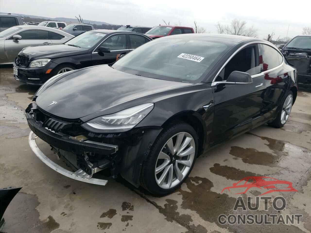 TESLA MODEL 3 2019 - 5YJ3E1EB9KF388767