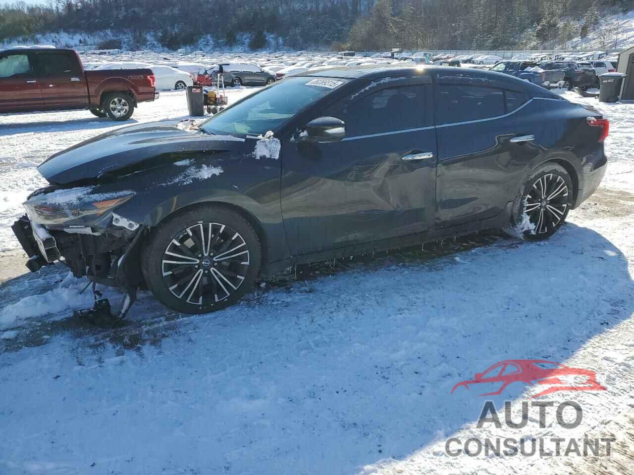 NISSAN MAXIMA 2016 - 1N4AA6AP3GC906223