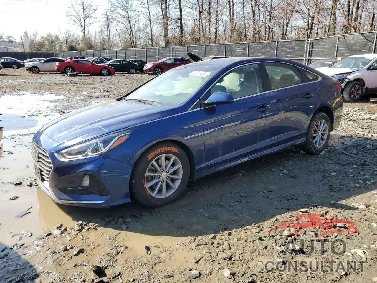 HYUNDAI SONATA 2019 - 5NPE24AF2KH789655