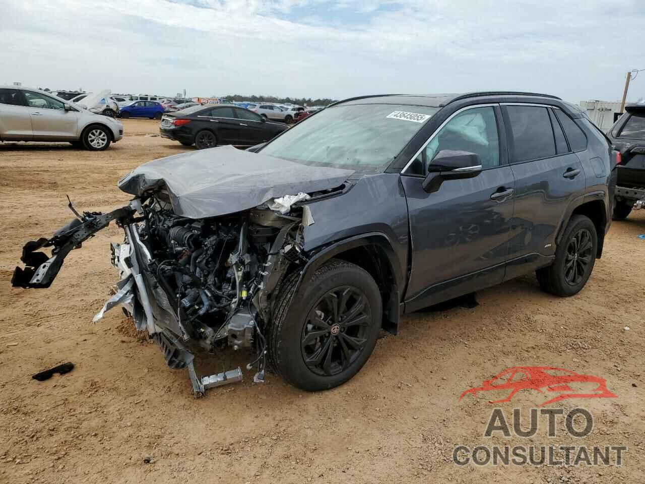 TOYOTA RAV4 2024 - 2T3E6RFV3RW067034