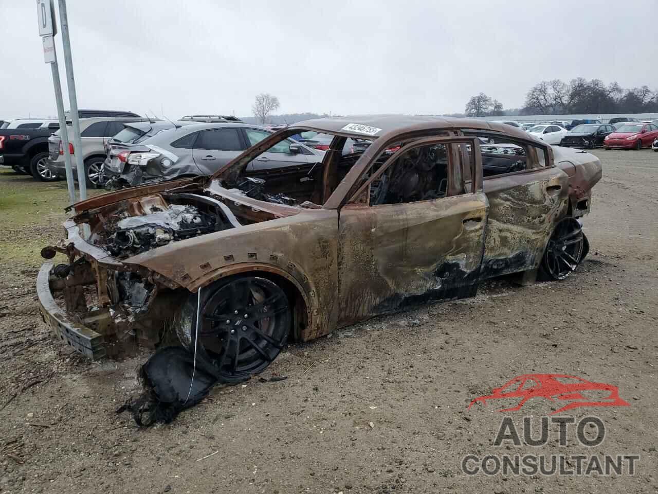 DODGE CHARGER 2023 - 2C3CDXGJXPH509130