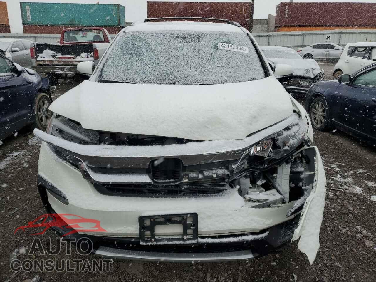 HONDA PILOT 2019 - 5FNYF6H50KB034335