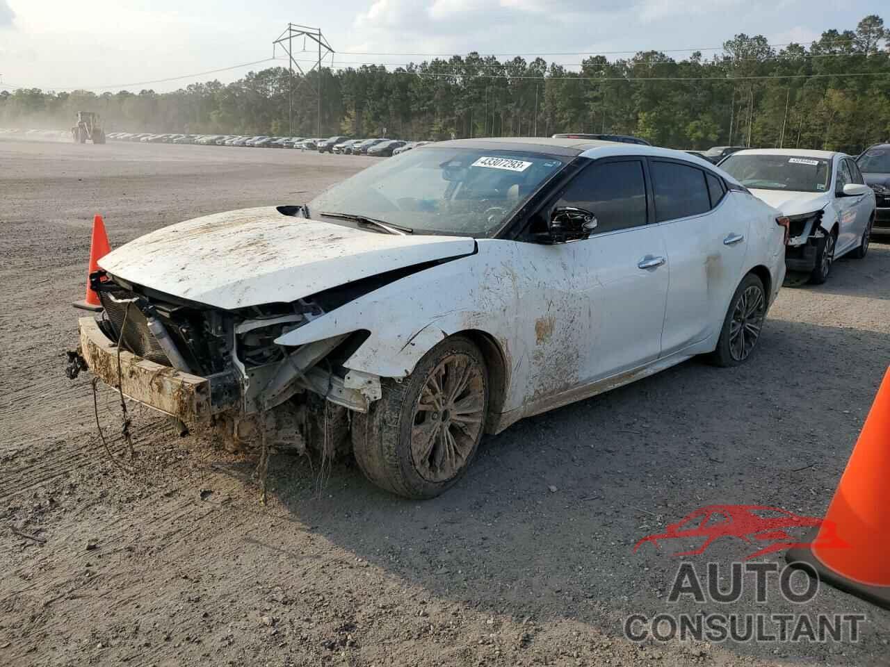 NISSAN MAXIMA 2017 - 1N4AA6APXHC448617