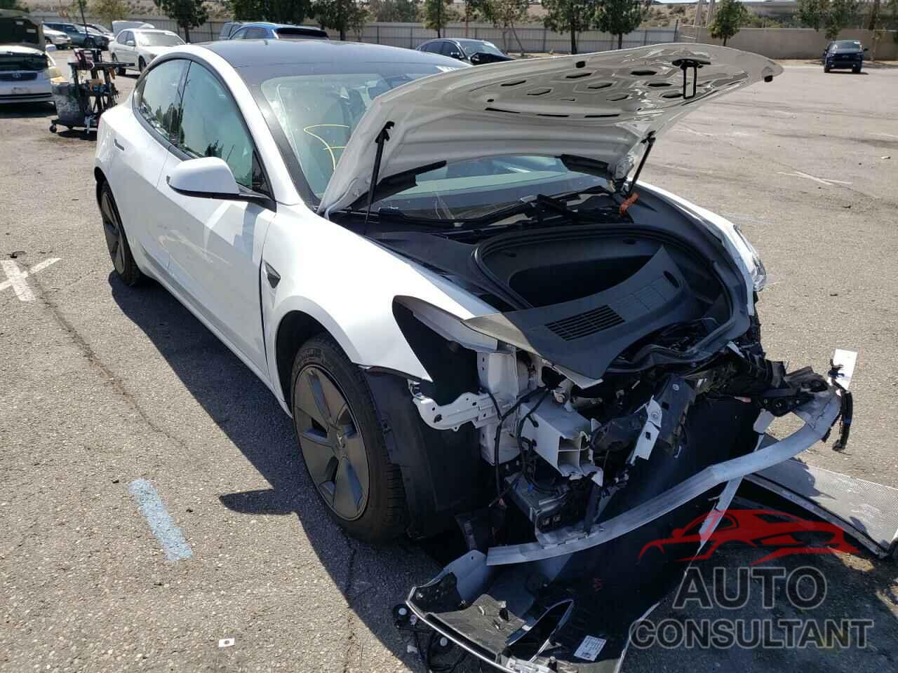TESLA MODEL 3 2021 - 5YJ3E1EBXMF084639