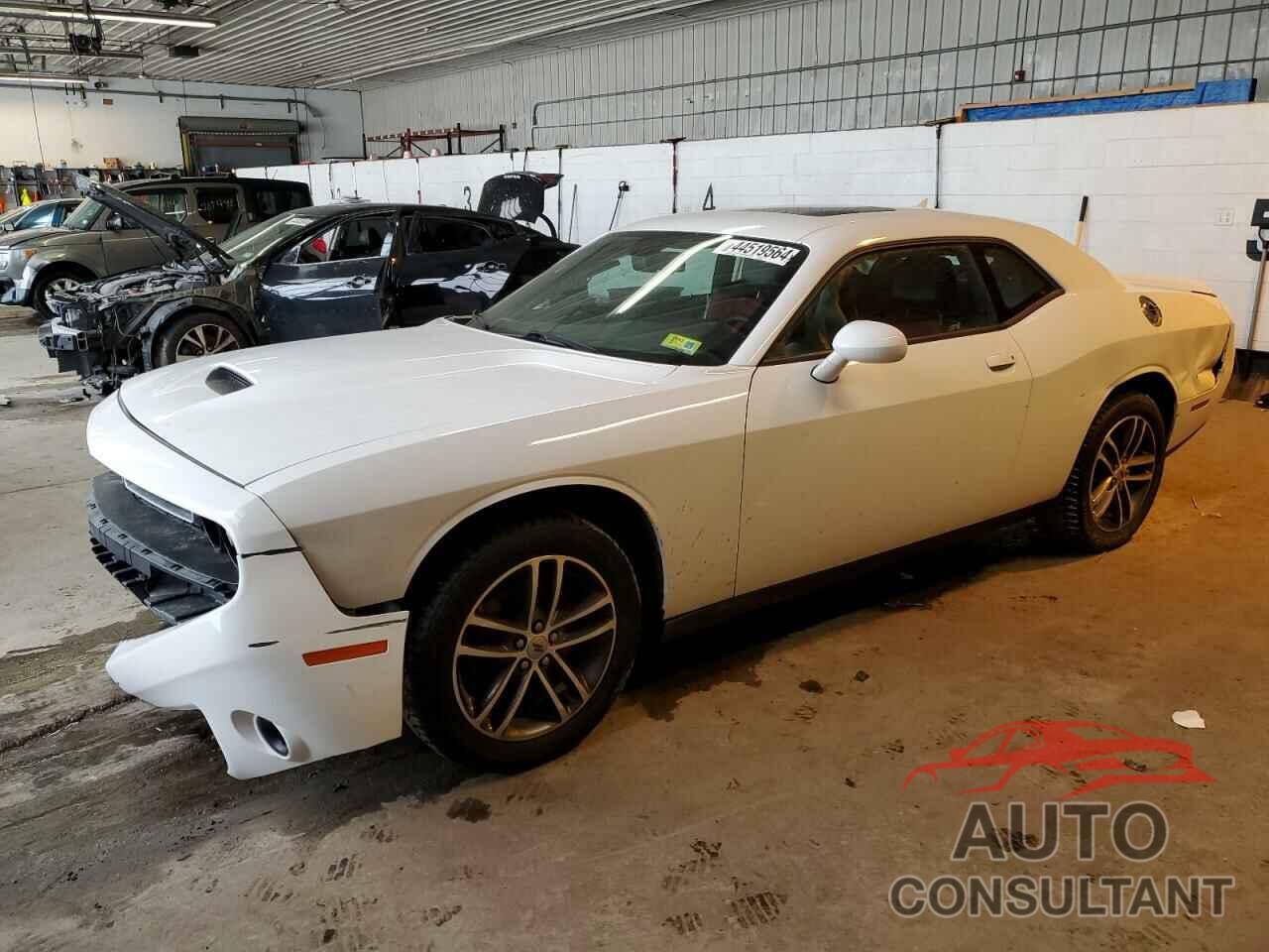 DODGE CHALLENGER 2019 - 2C3CDZKG3KH613846