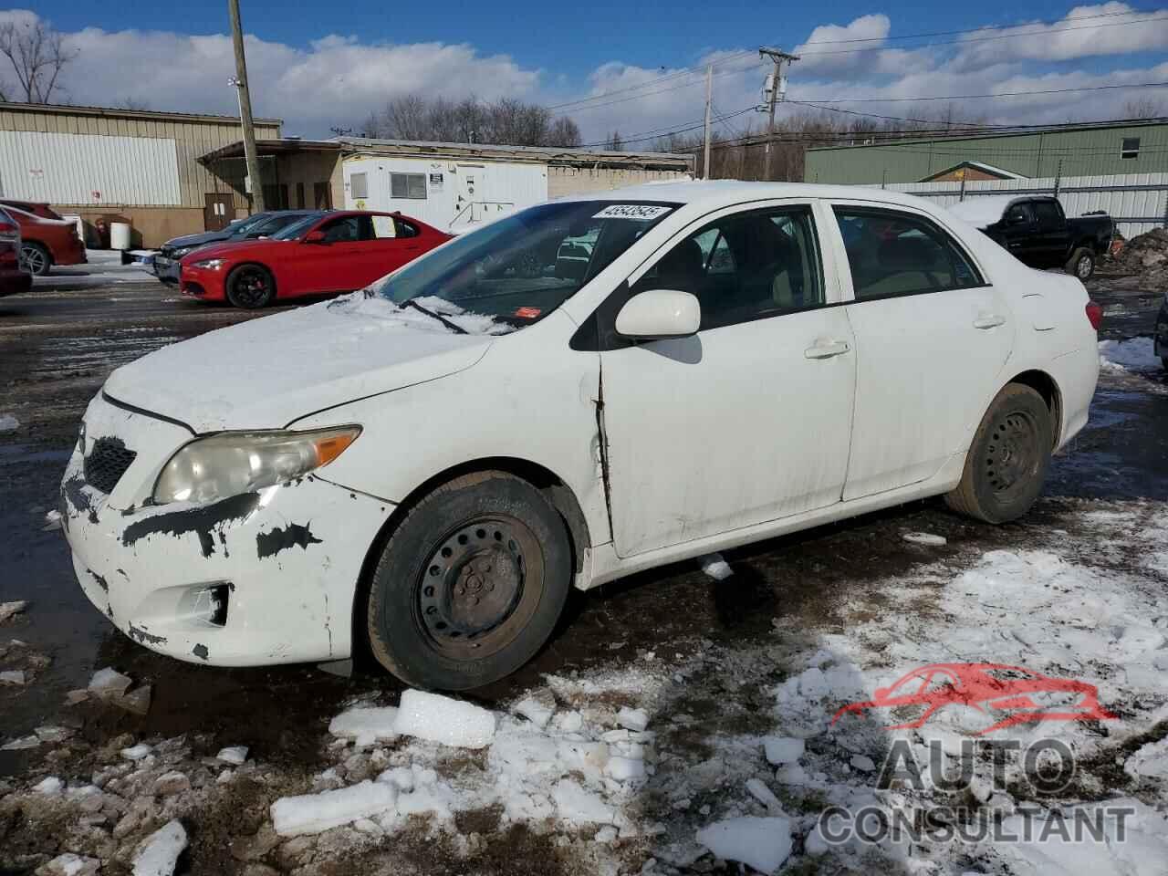TOYOTA COROLLA 2010 - 2T1BU4EE2AC344090
