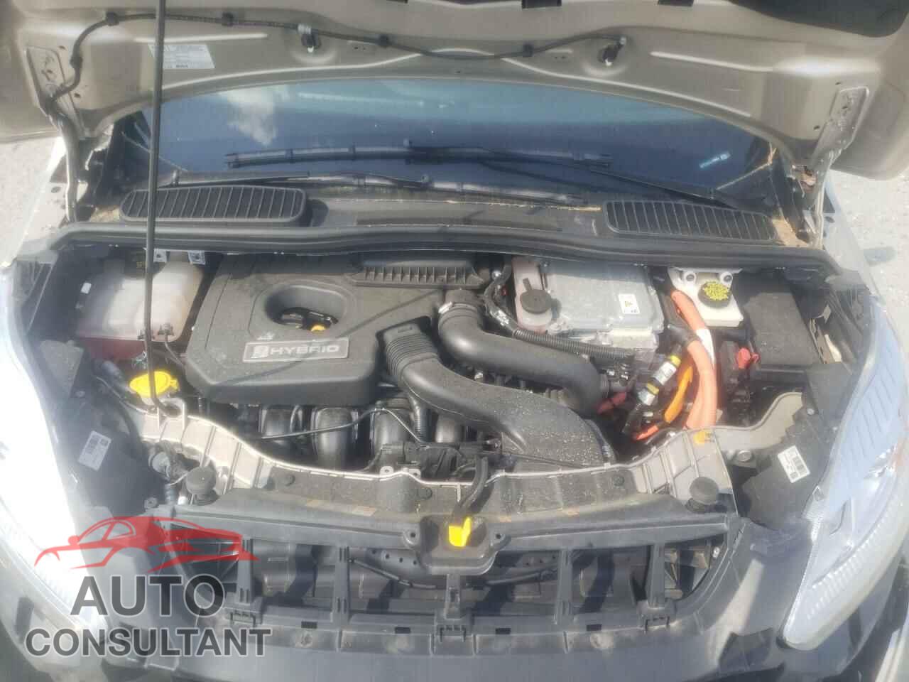 FORD CMAX 2018 - 1FADP5AU6JL100864