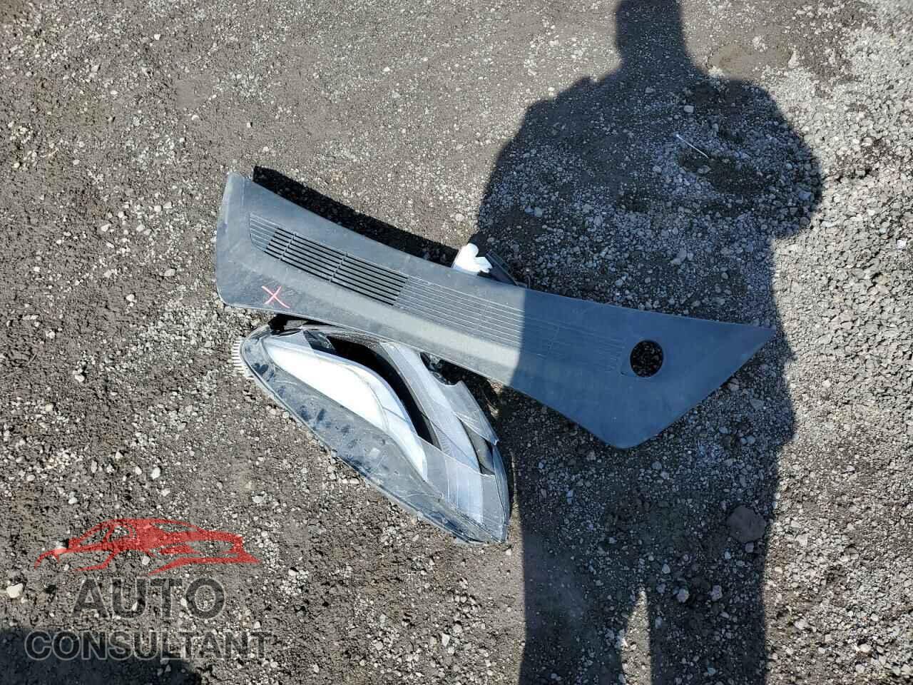 TESLA MODEL 3 2021 - 5YJ3E1EA5MF842684