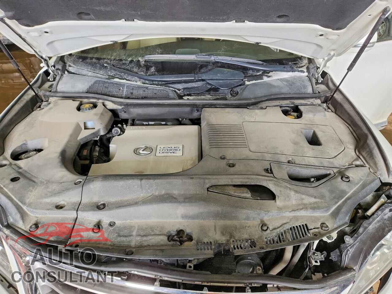 LEXUS RX300 2013 - JTJBC1BA7D2054446