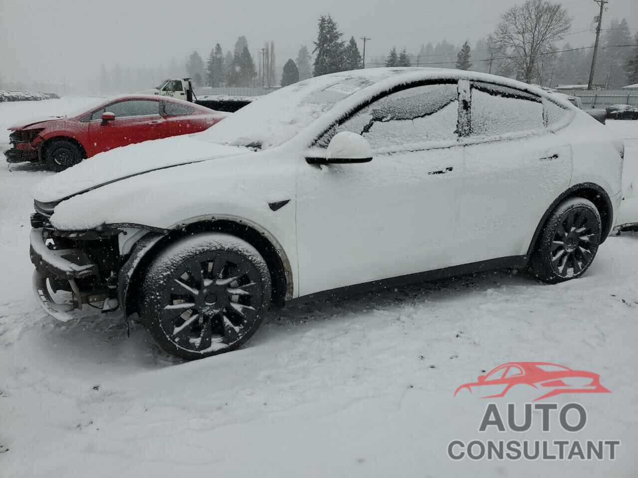 TESLA MODEL Y 2020 - 5YJYGDEE8LF040262