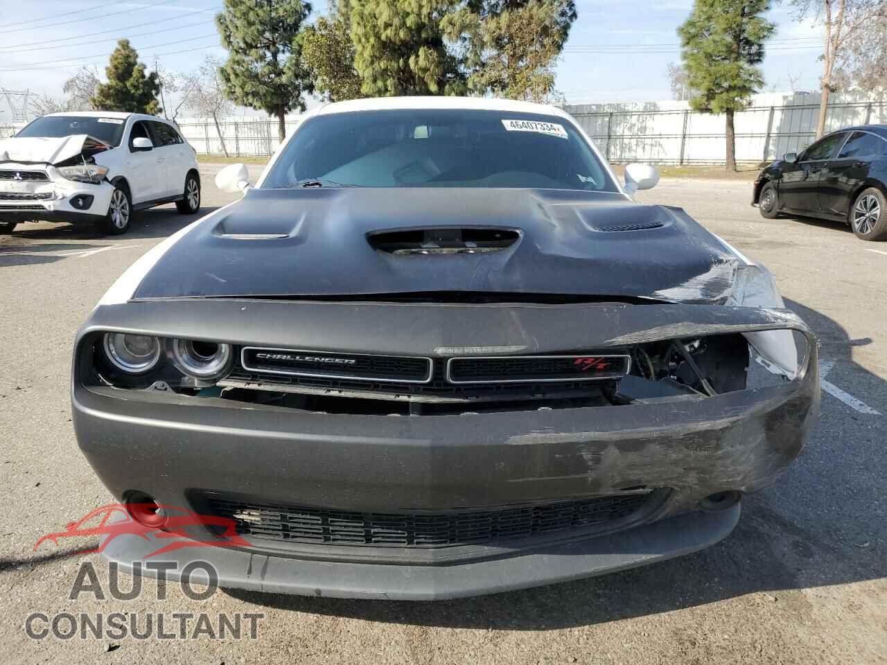 DODGE CHALLENGER 2019 - 2C3CDZBT9KH737505