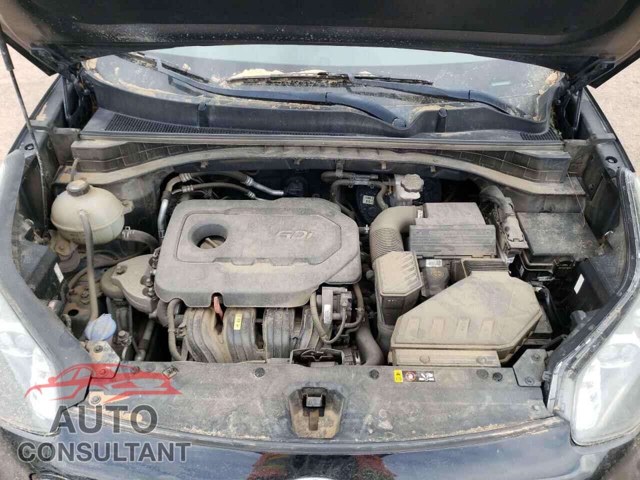 KIA SPORTAGE 2017 - KNDPMCAC0H7083008