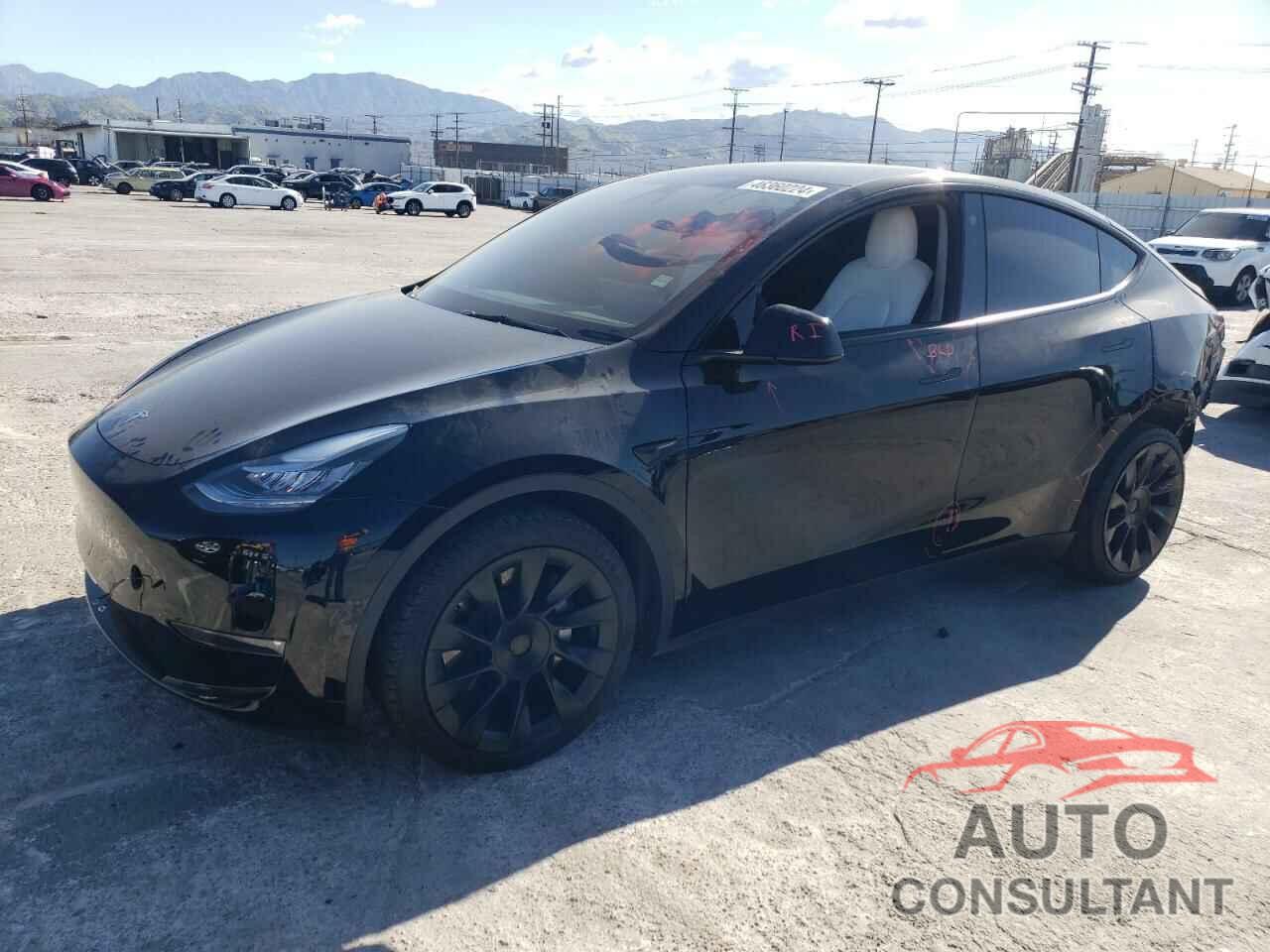 TESLA MODEL Y 2021 - 5YJYGDEE5MF261254