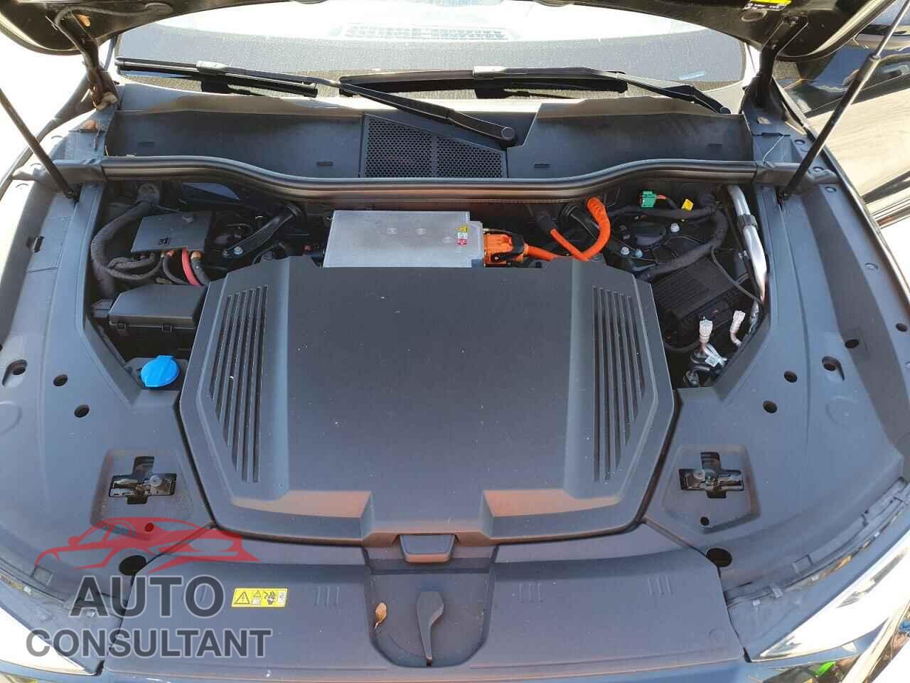 AUDI E-TRON 2019 - WA1LAAGE2KB010225