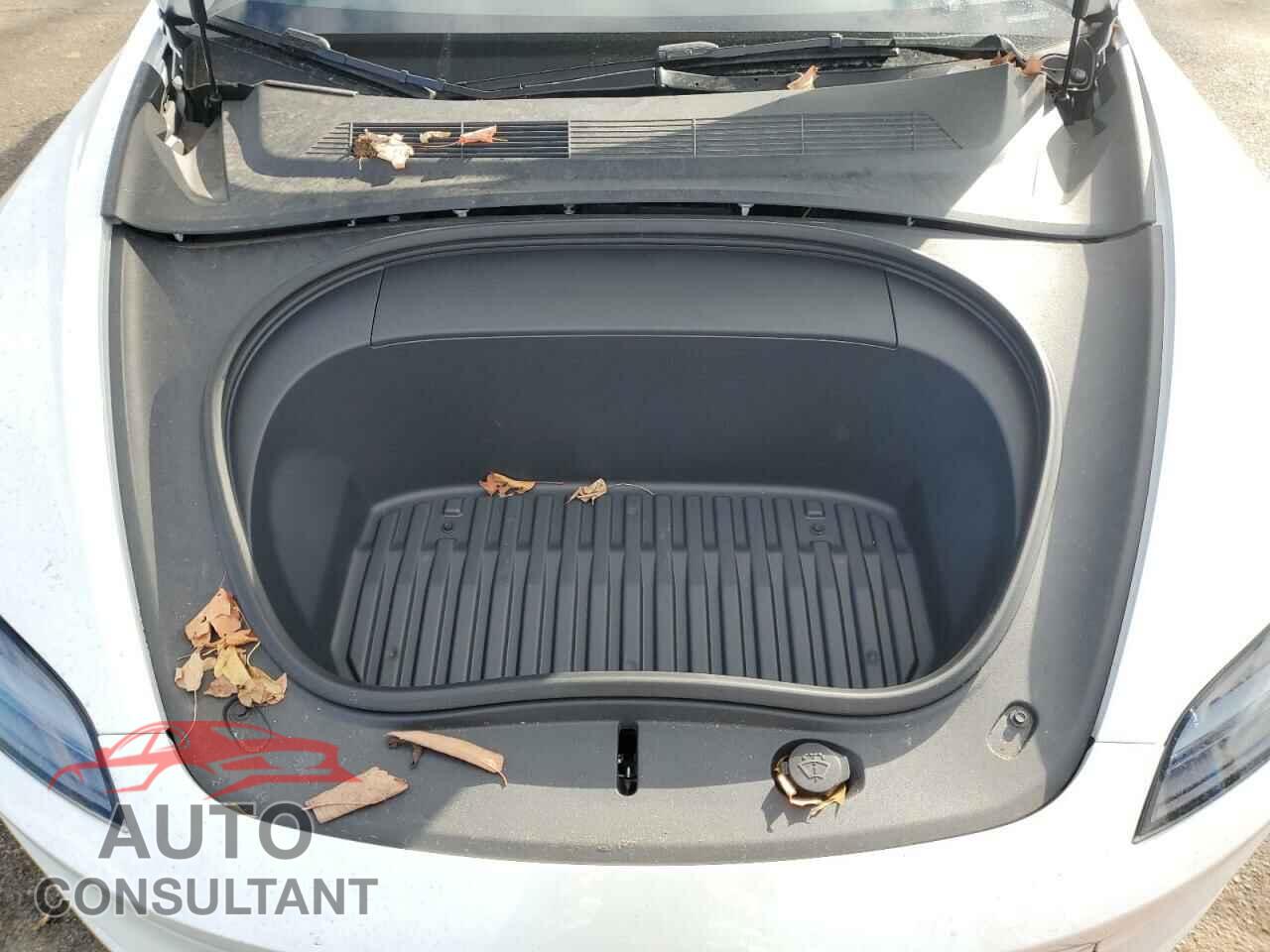 TESLA MODEL 3 2024 - 5YJ3E1EA2RF733011