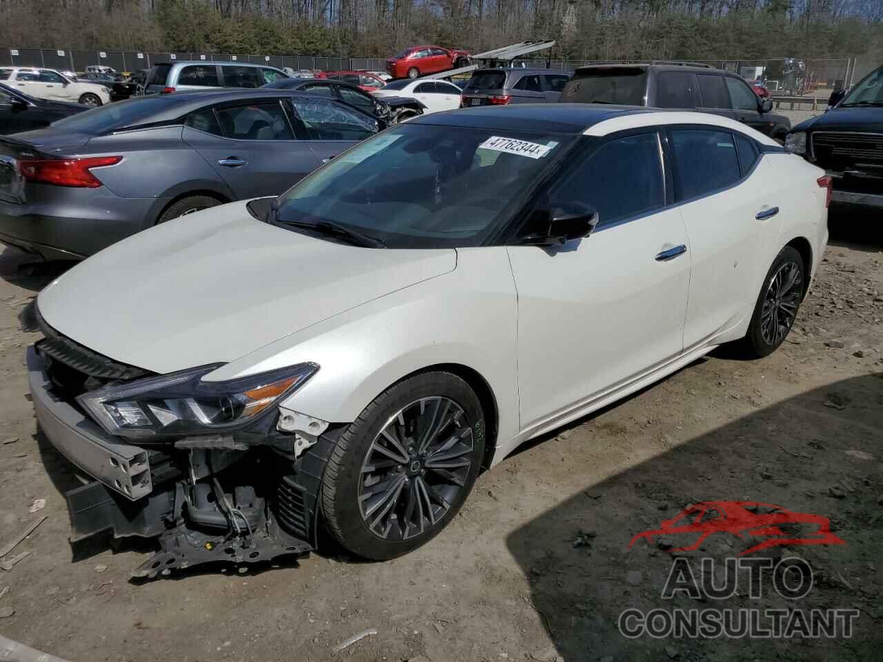 NISSAN MAXIMA 2017 - 1N4AA6AP8HC434845