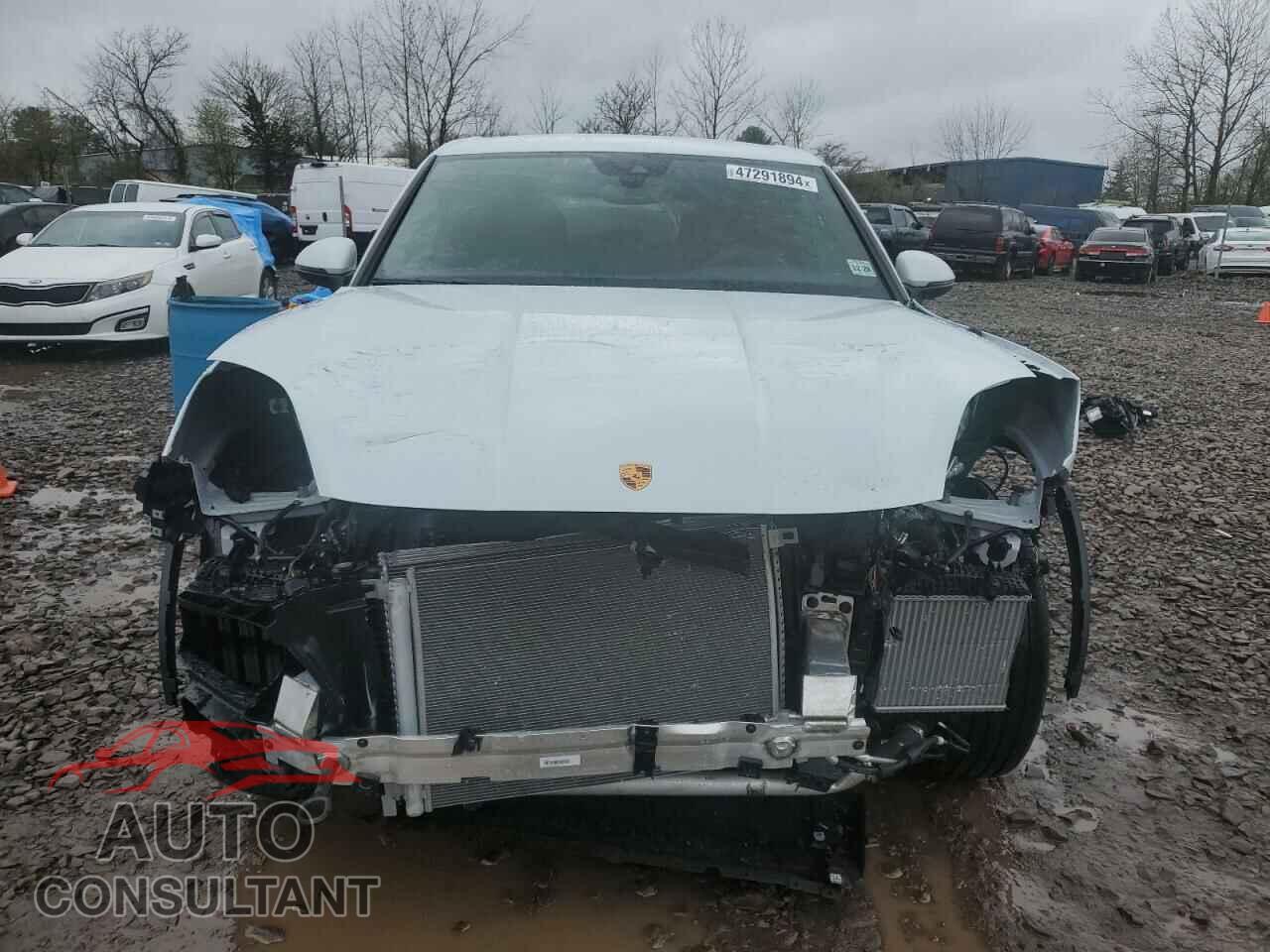PORSCHE CAYENNE 2024 - WP1AA2AY6RDA06245