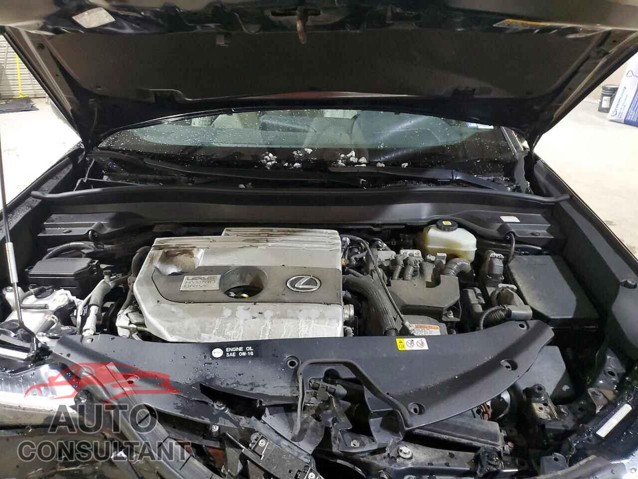 LEXUS UNKNOWN 2021 - JTHP9JBH6M2045479