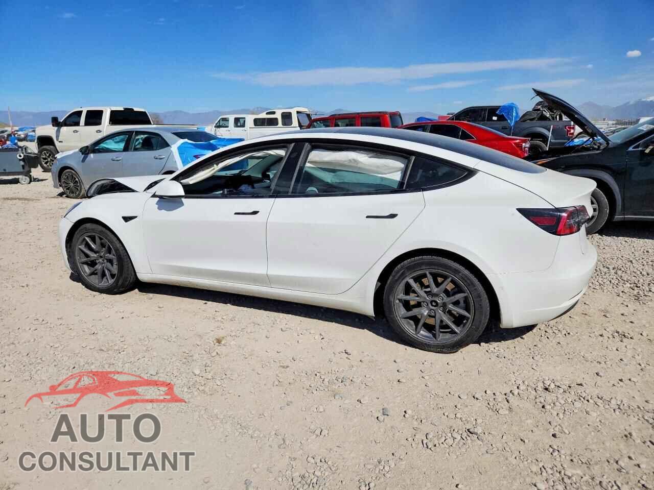 TESLA MODEL 3 2022 - 5YJ3E1EB8NF233499