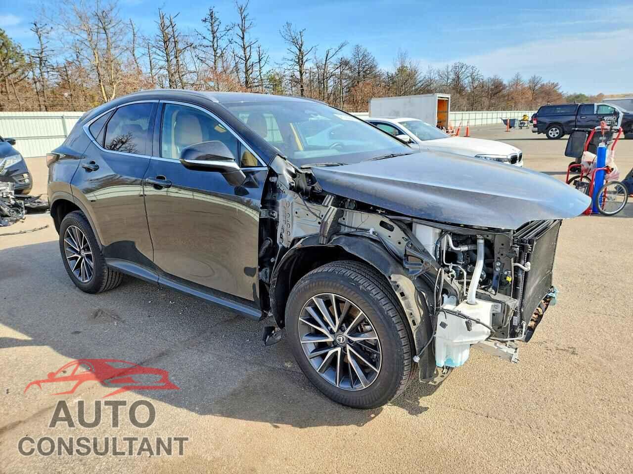 LEXUS UNKNOWN 2024 - 2T2GGCEZ3RC056032