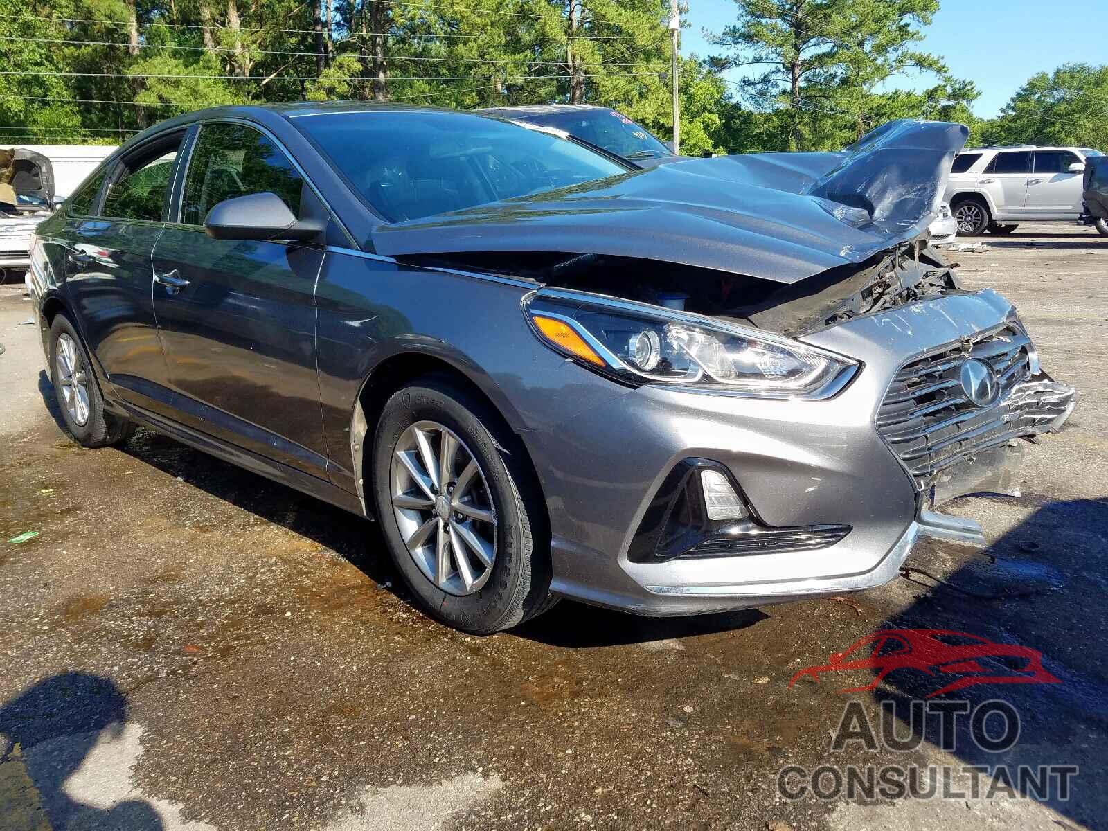 HYUNDAI SONATA 2019 - 5NPE24AF3KH751559
