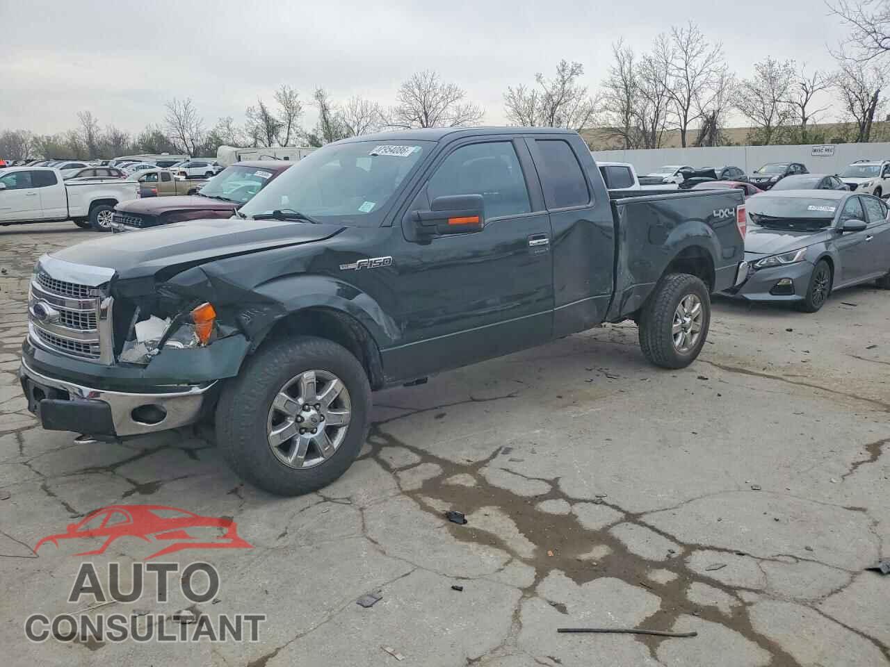 FORD F150 2014 - 1FTFX1EF9EFB74906