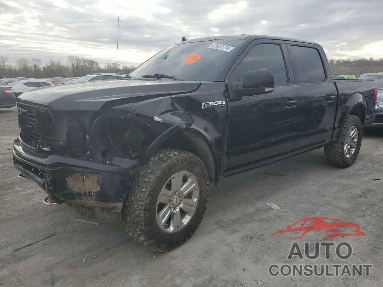 FORD F-150 2019 - 1FTEW1EP3KFB62429