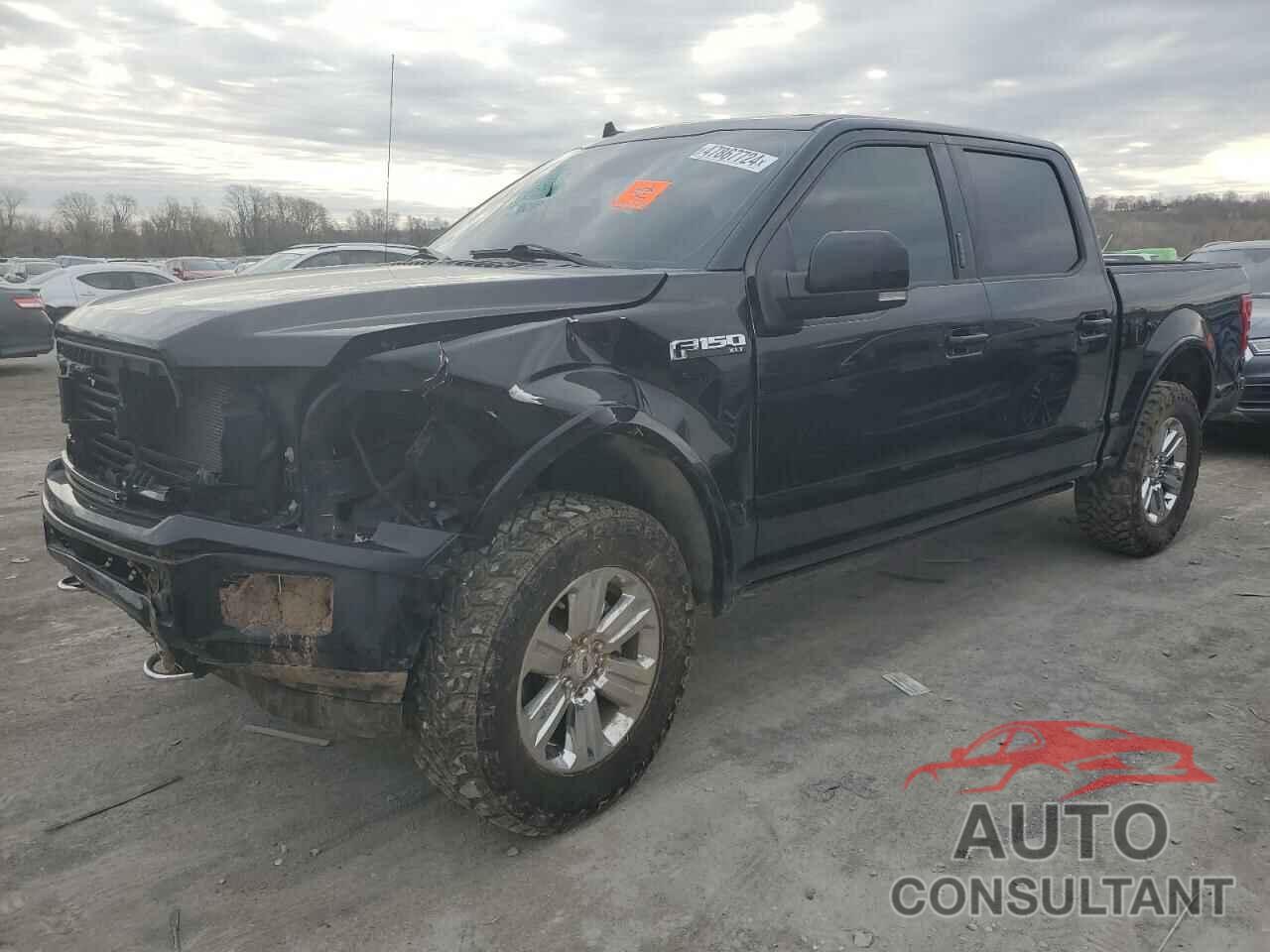 FORD F-150 2019 - 1FTEW1EP3KFB62429