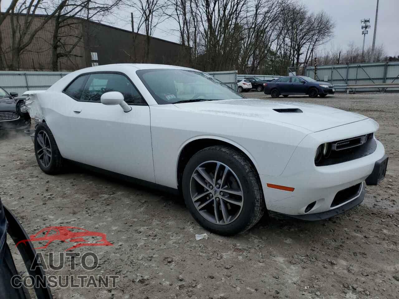 DODGE CHALLENGER 2019 - 2C3CDZGG1KH522275