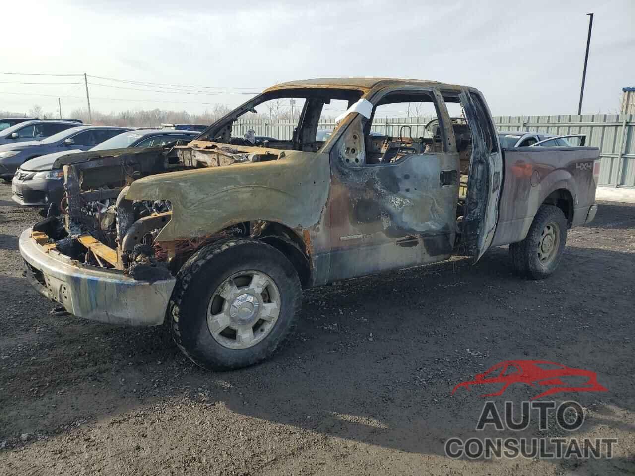 FORD F-150 2011 - 1FTFX1ET2BFC66828