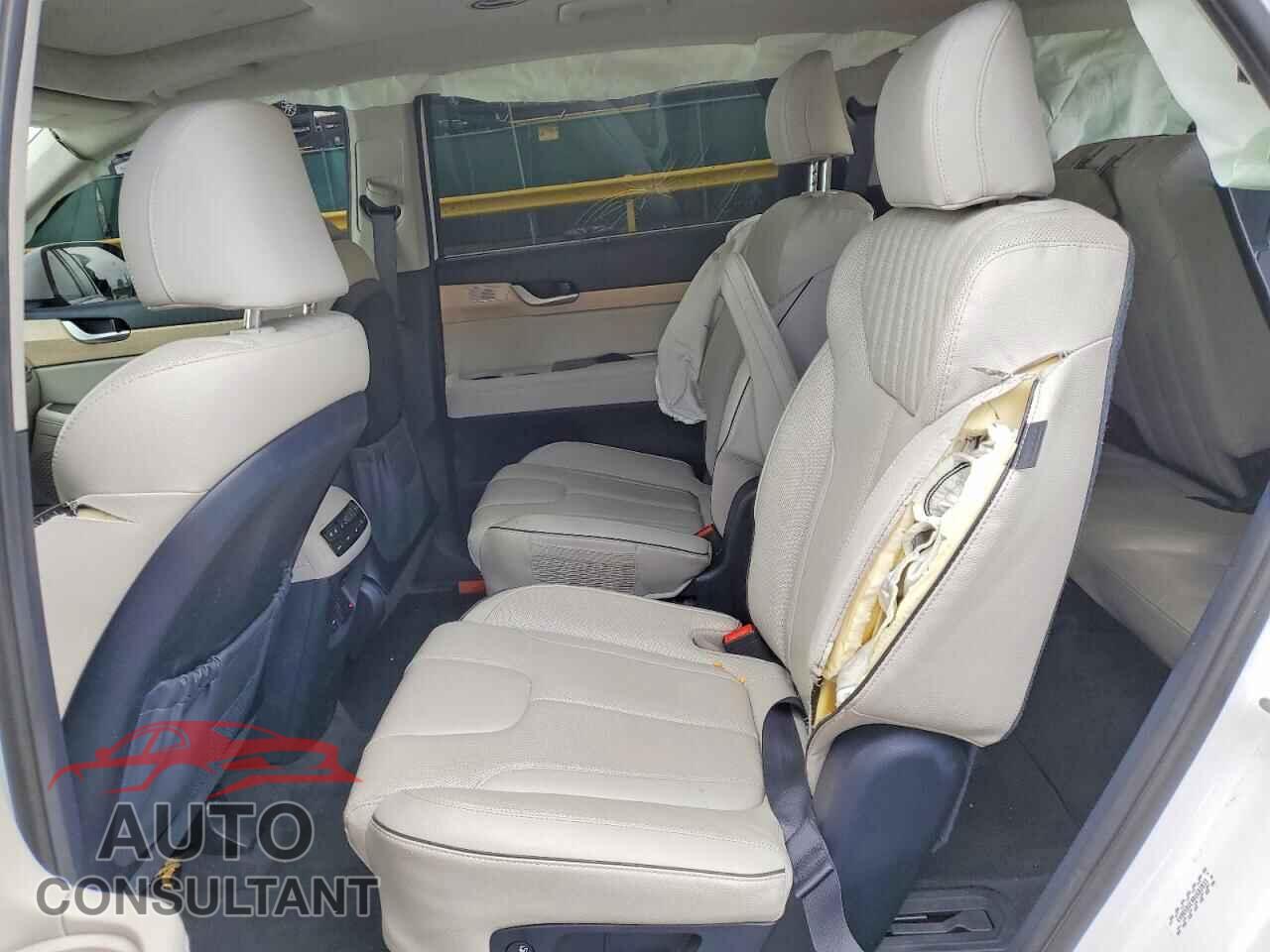 HYUNDAI PALISADE 2024 - KM8R5DGE9RU682833