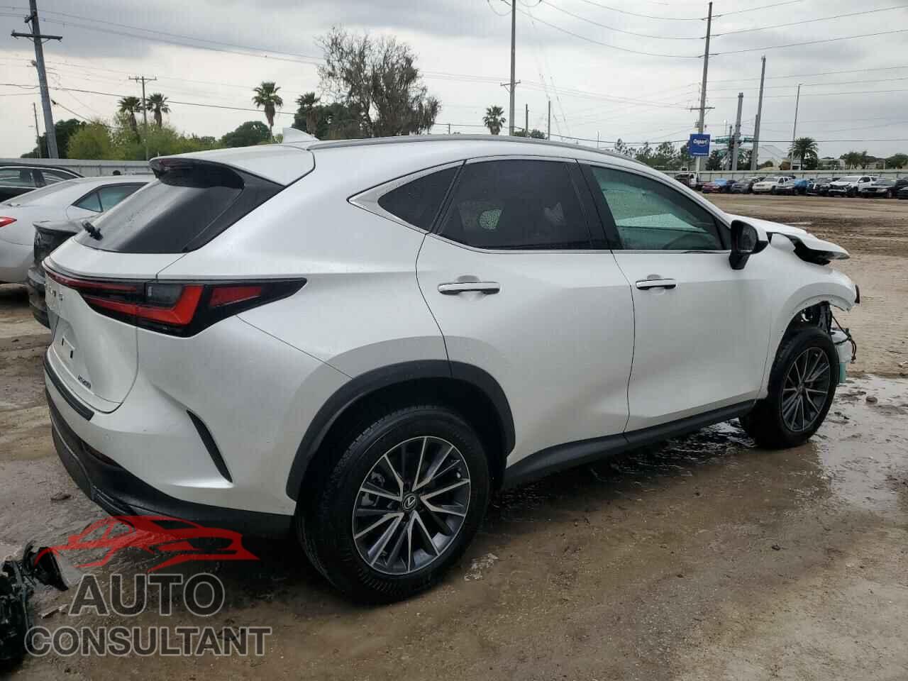 LEXUS NX 250 PRE 2024 - 2T2GDCAZ2RC007788