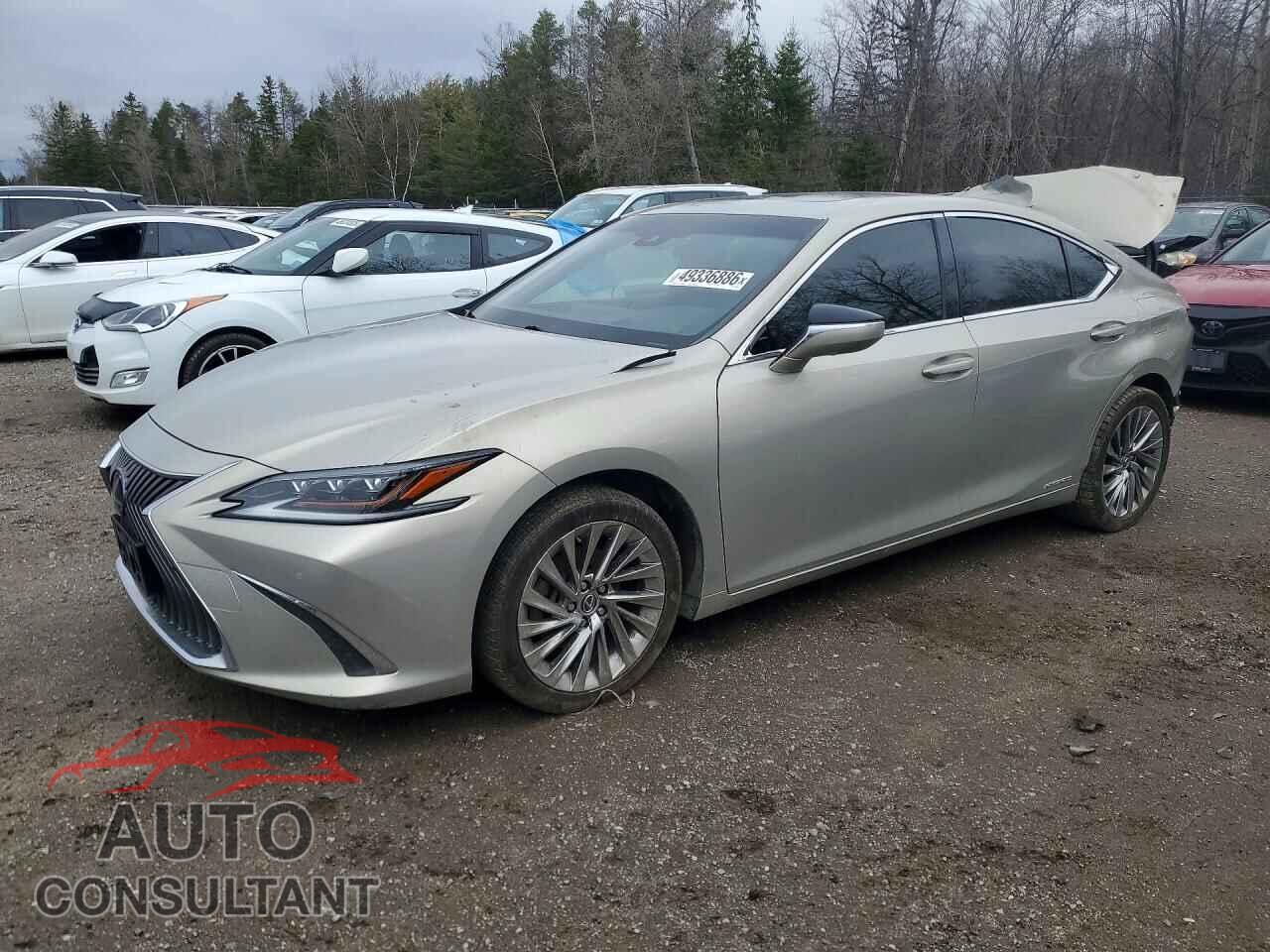 LEXUS ES300 2019 - JTHB21B11K2012033