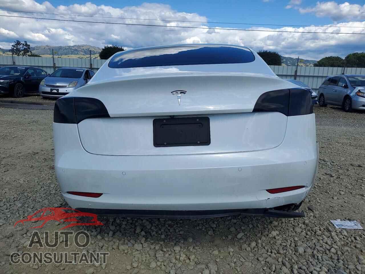 TESLA MODEL 3 2021 - 5YJ3E1EA1MF868103