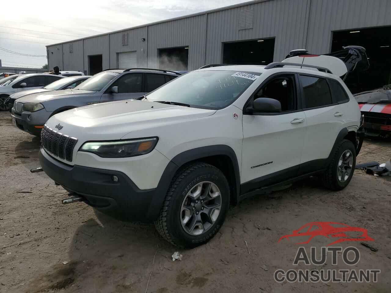 JEEP CHEROKEE 2019 - 1C4PJMBXXKD282513