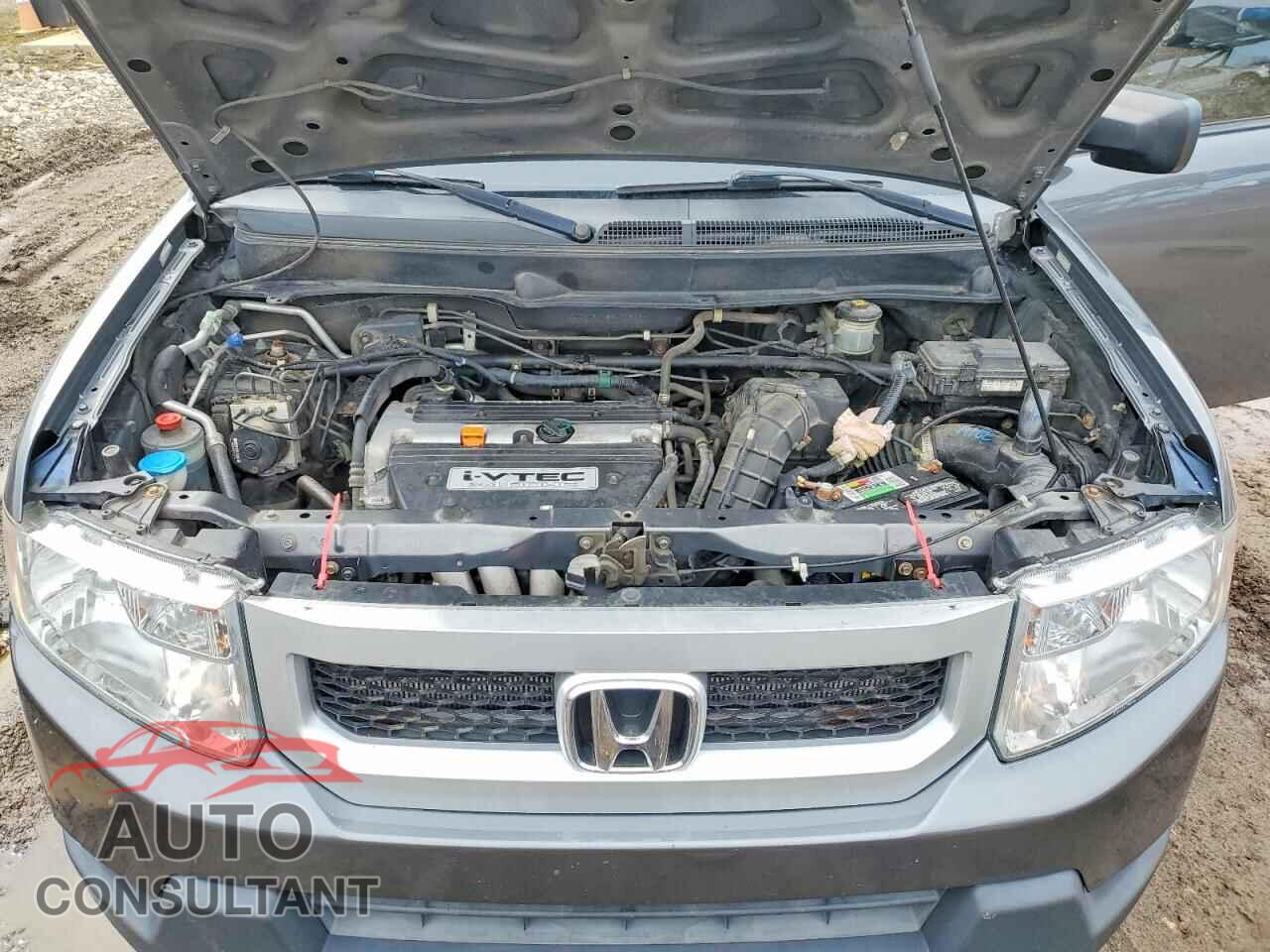 HONDA ELEMENT 2011 - 5J6YH2H75BL005389