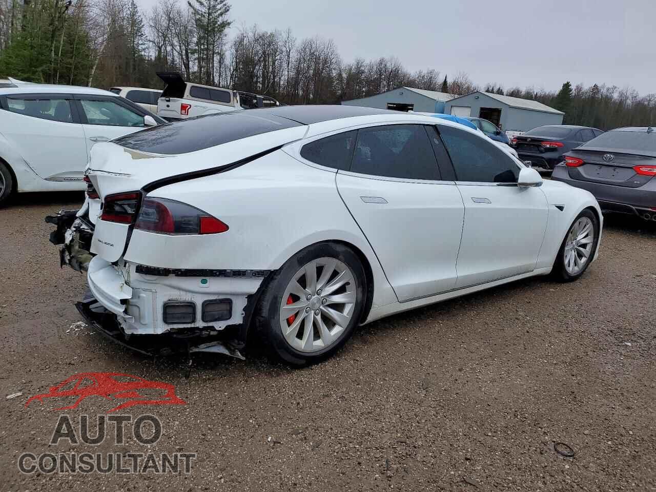 TESLA MODEL S 2019 - 5YJSA1E49KF334975