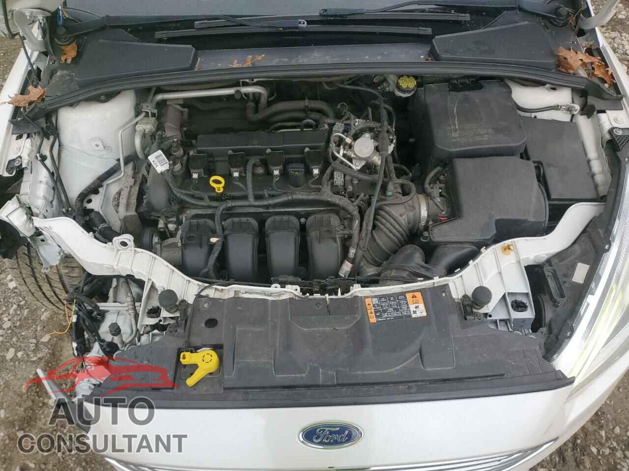 FORD FOCUS 2016 - 1FADP3N22GL318743