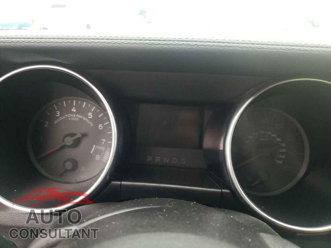 FORD MUSTANG 2019 - 1FA6P8CF0K5173775