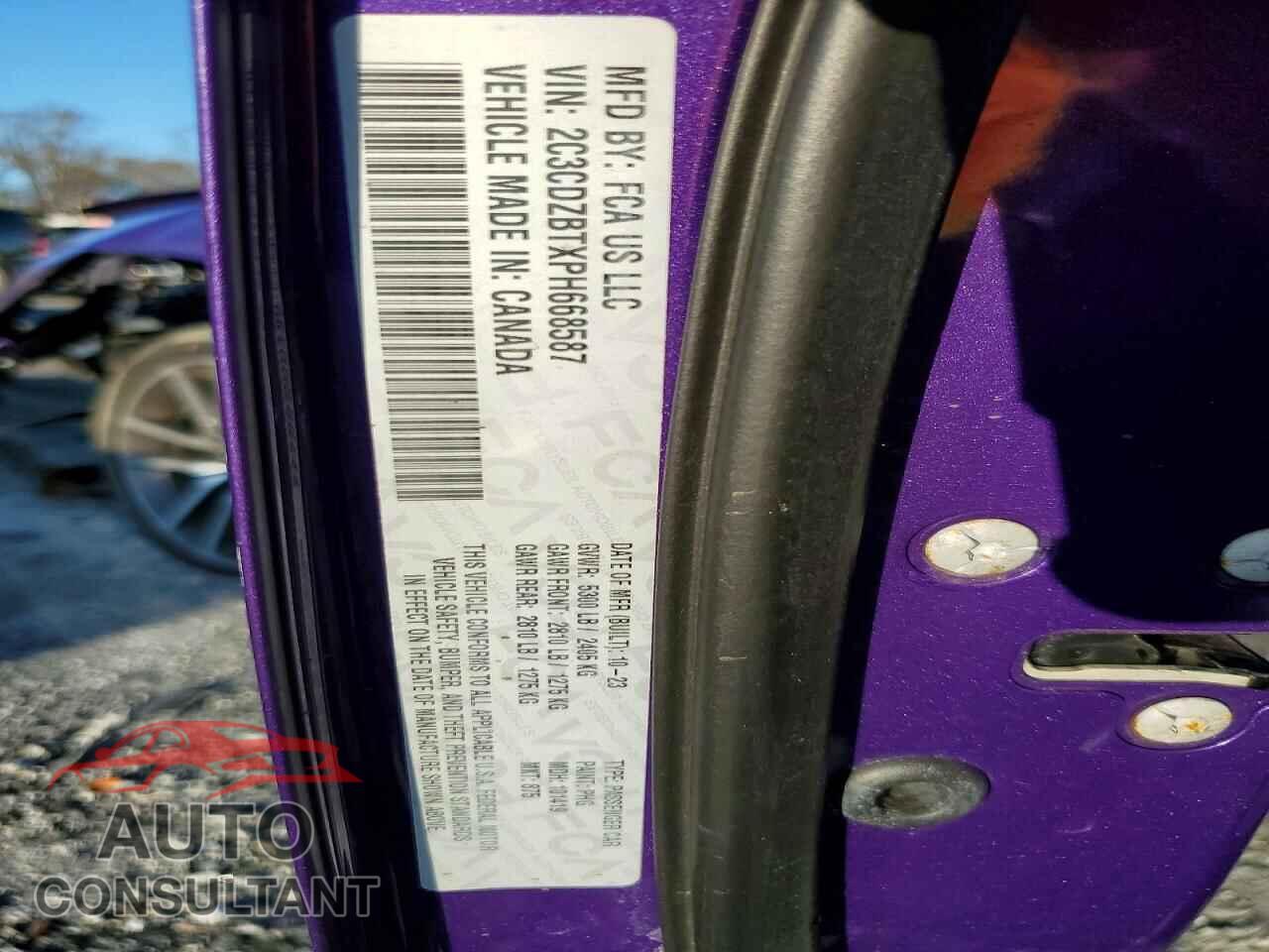 DODGE CHALLENGER 2023 - 2C3CDZBTXPH668587