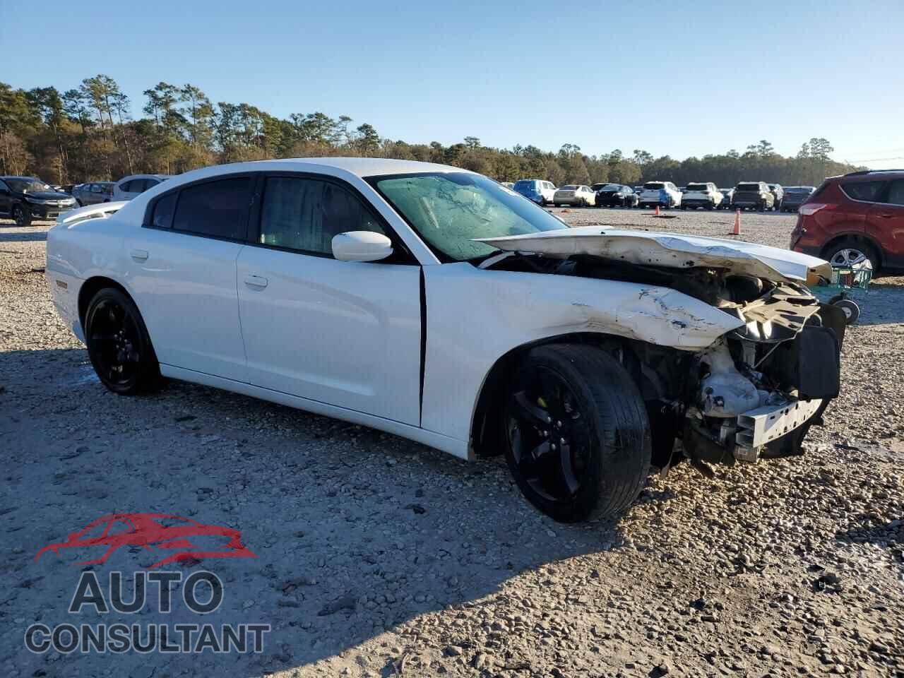 DODGE CHARGER 2014 - 2C3CDXHG9EH370950