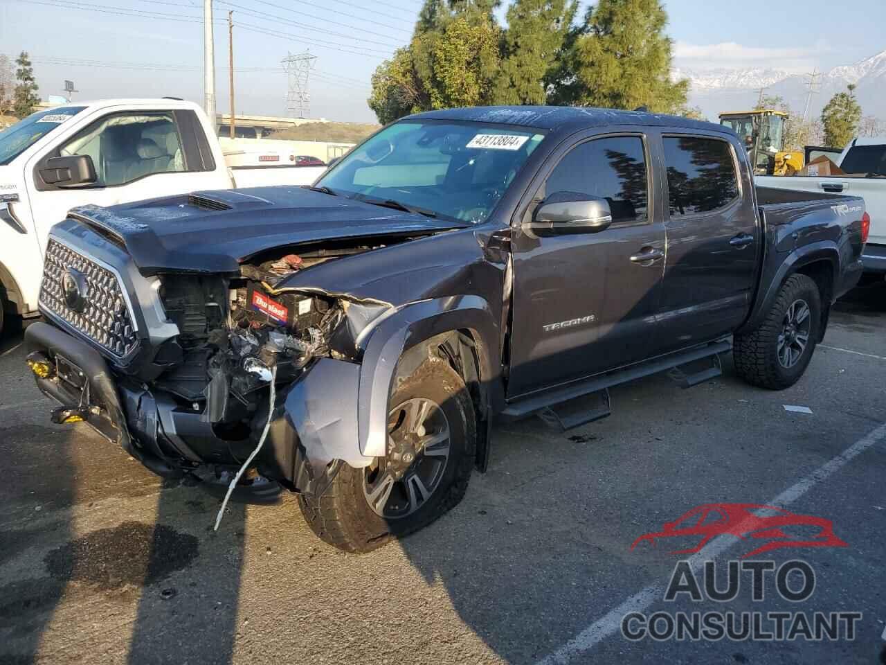 TOYOTA TACOMA 2019 - 3TMAZ5CN8KM108722