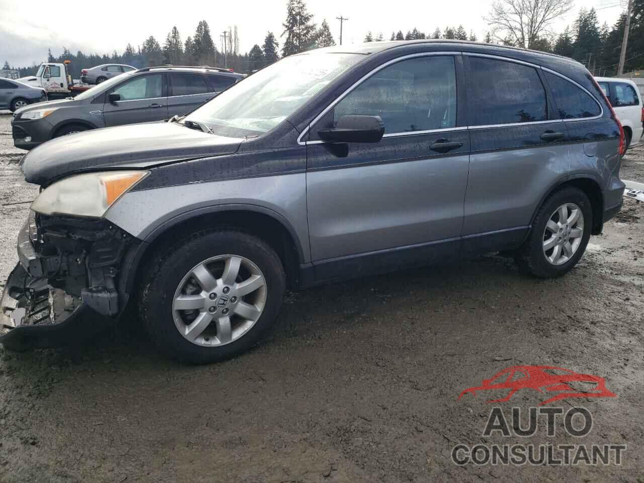 HONDA CRV 2009 - JHLRE48519C007893