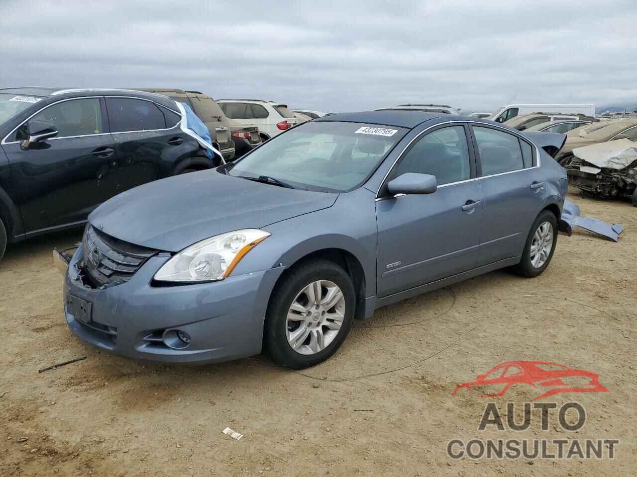 NISSAN ALTIMA 2010 - 1N4CL2AP3AC115418