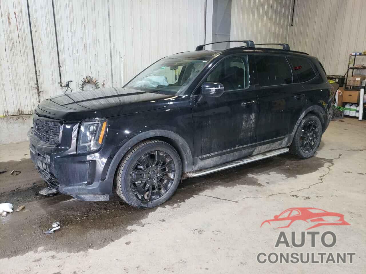 KIA TELLURIDE 2021 - 5XYP3DHC7MG172649