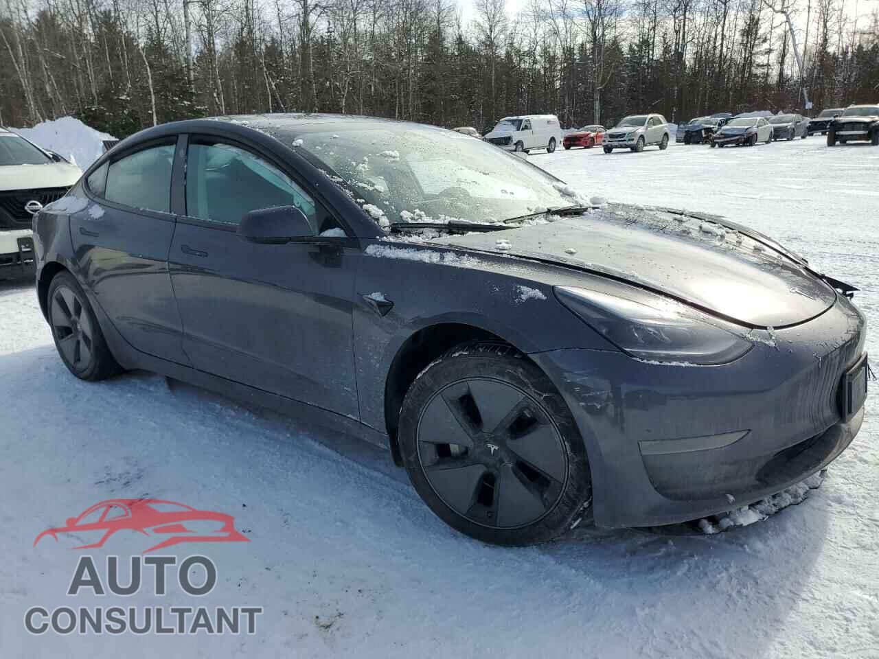 TESLA MODEL 3 2023 - LRW3E1FA5PC945276